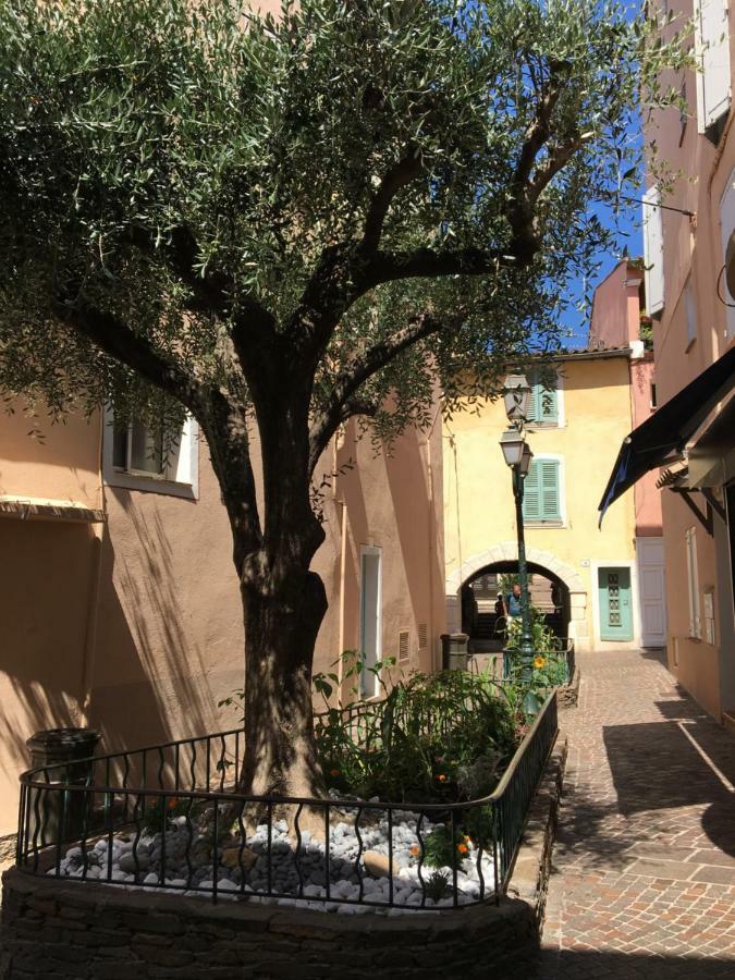 Bastide Du Levant Сент-Максим Экстерьер фото
