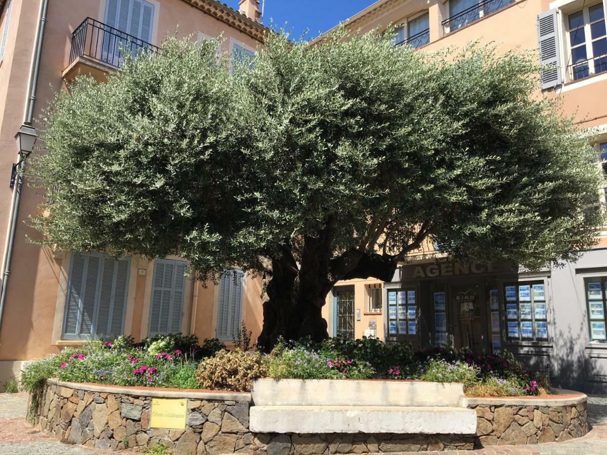 Bastide Du Levant Сент-Максим Экстерьер фото